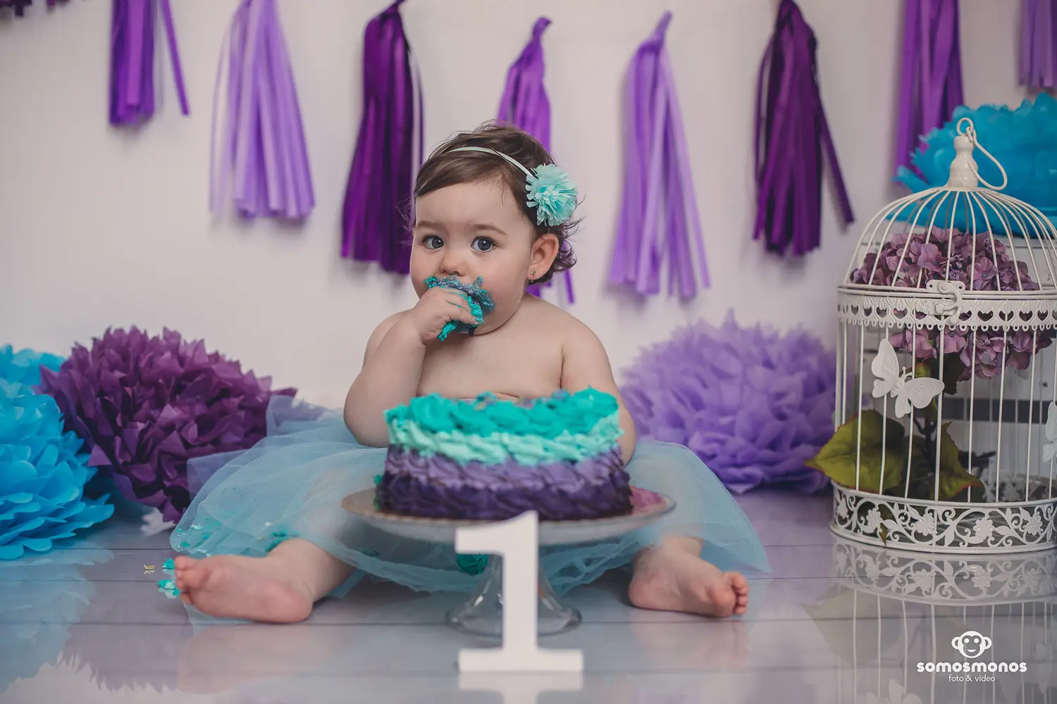 Smashcake morado + azul