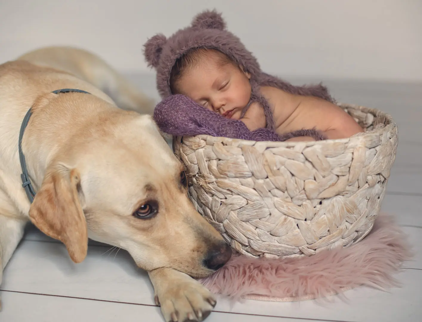 Newborn + perrito = siempre